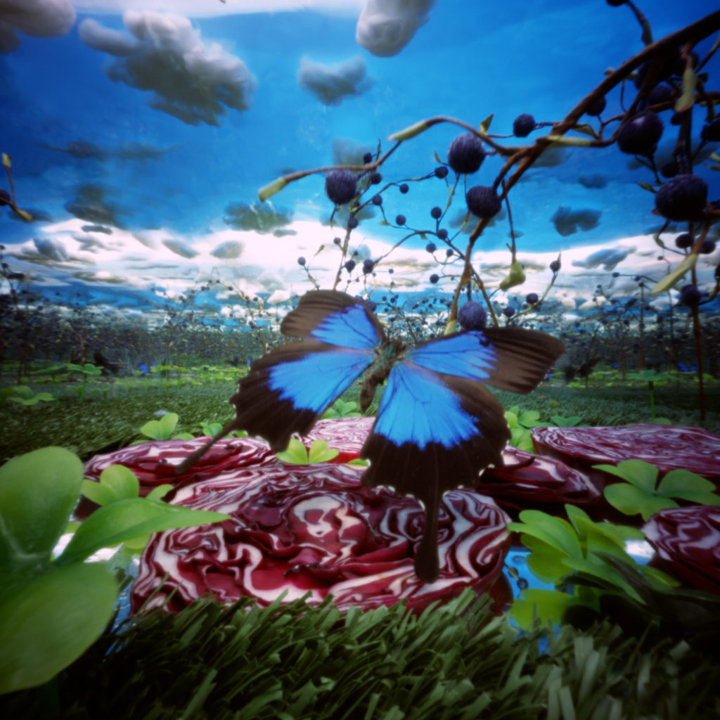 Bethany de Forest, "Blauwe vlinder".